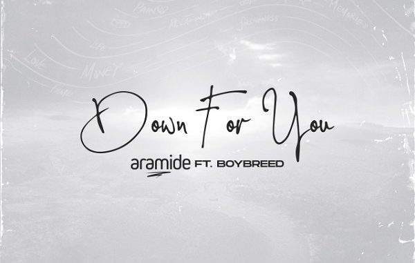 Aramide-Down-For-You
