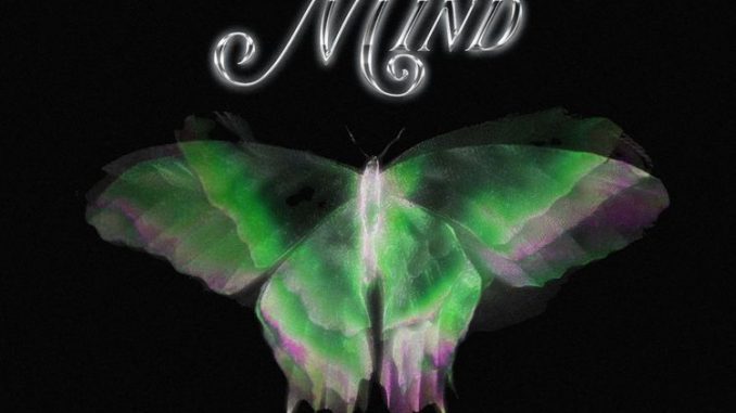Skillz-8Figure-Mind-Ft-King-Perryy-1.jpg