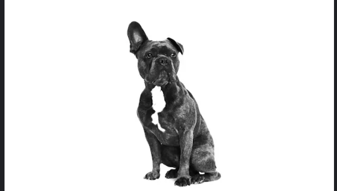 Octavian-Better-Positions-1.jpg